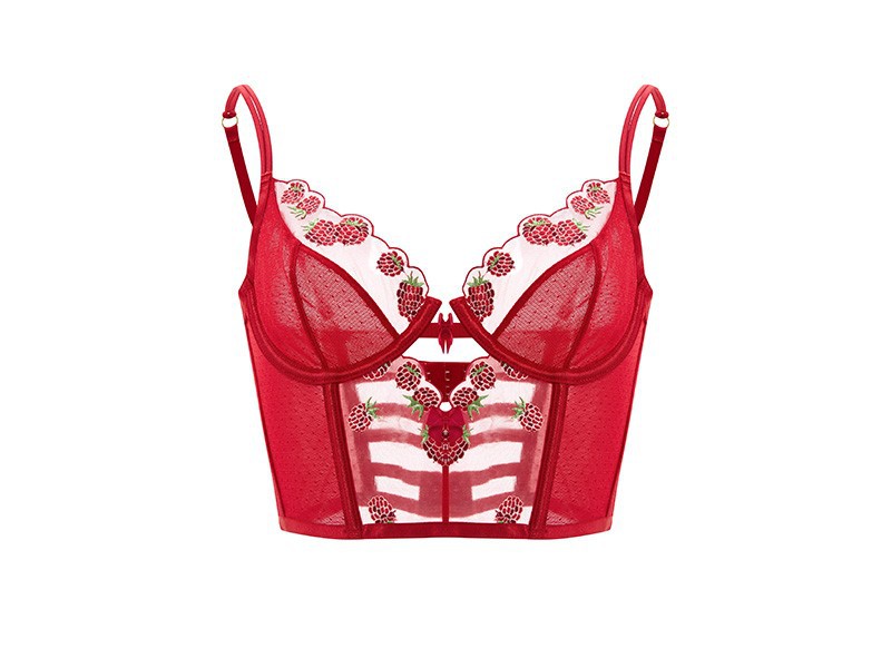 Embroidered Floral Lingerie